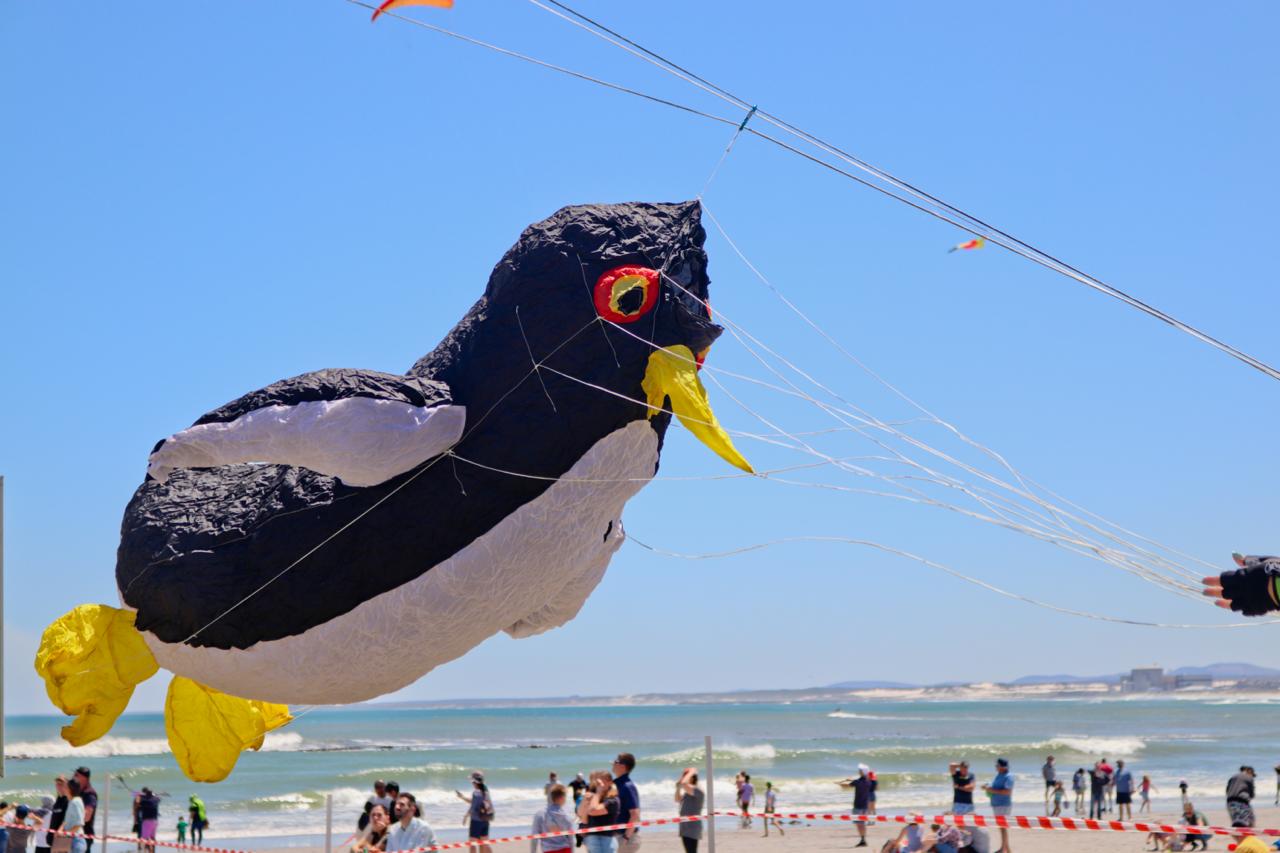 30th Cape Town International Kite Festival October 2024