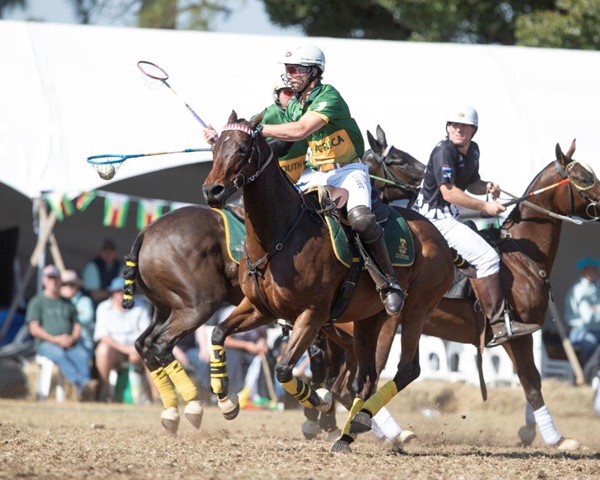 South Africa strides into semi-finals of the 2024 Ignition Group Polocrosse World Cup!